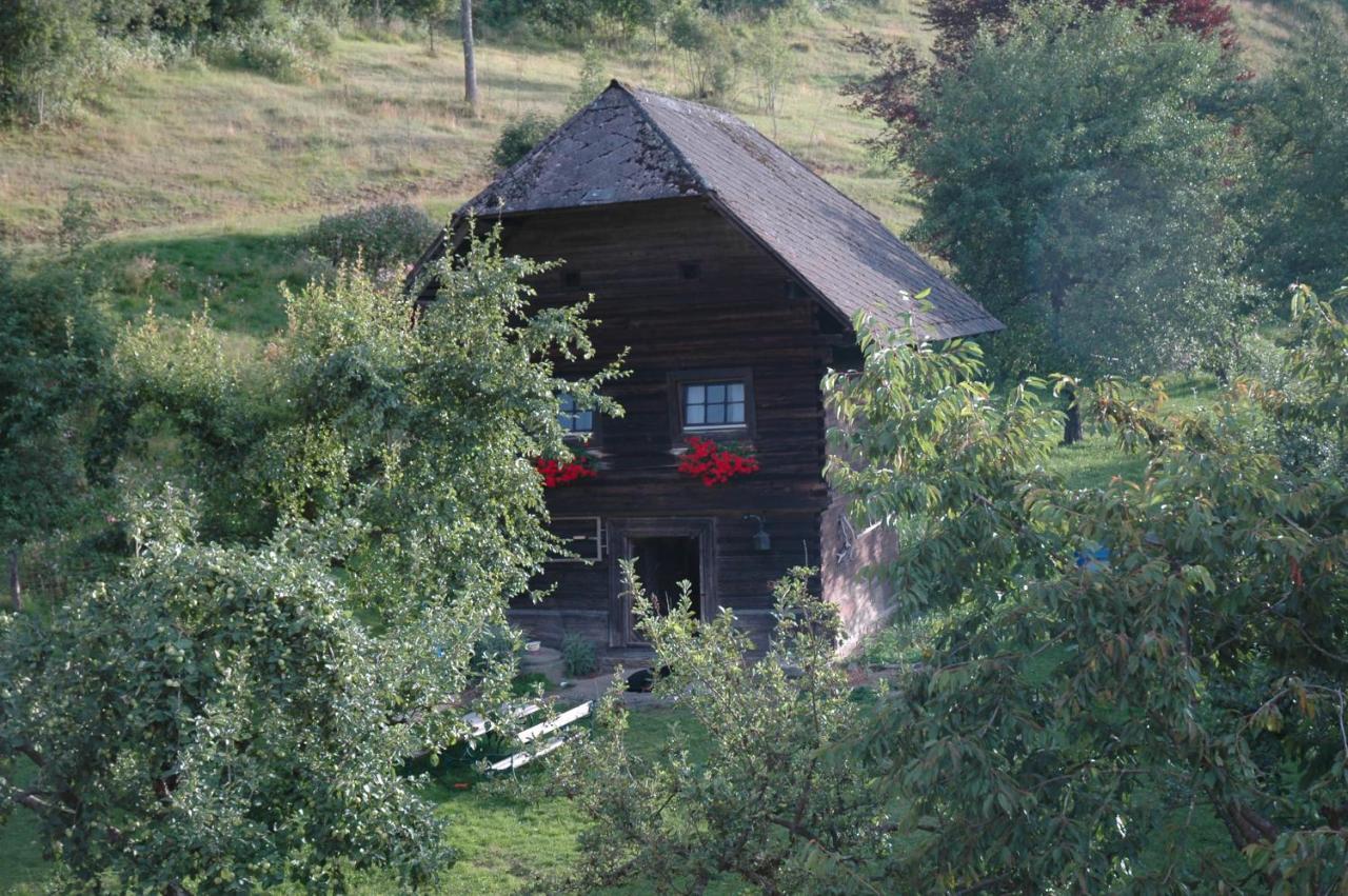 Huette Zum Verlieben Gurk Exteriör bild