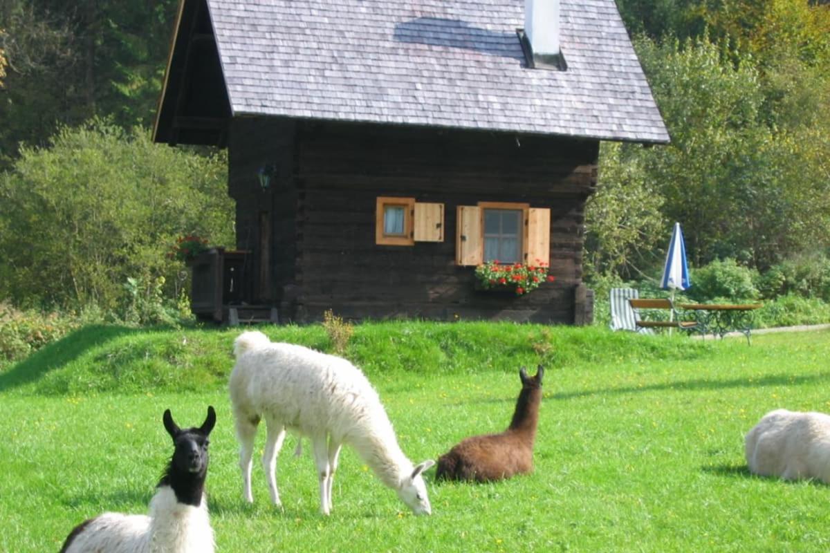 Huette Zum Verlieben Gurk Exteriör bild